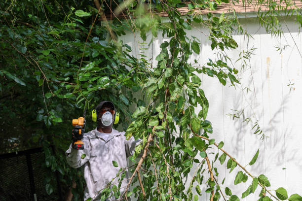 Best Commercial Tree Services  in Beverly Hills, TX